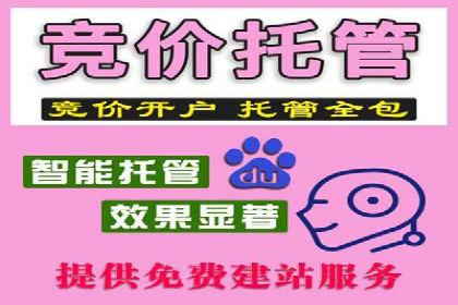 案例对比：SEO与SEM优化效果深度分析